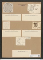 Campylodiscus crebrecostatus Grev. (de-Toni-Nr.: Genus 57, Species 2449) Zeichnungen Sammlung Grunow Nr. 4930 (NHMW-BOT-W0373140)